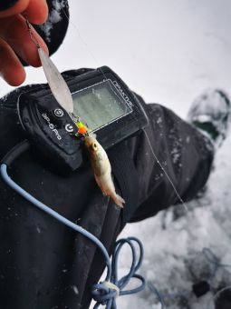 Рыбалка 2020, 11 января