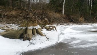 Первый лед 2018-11-24