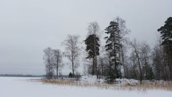 Зимняя туса 2018