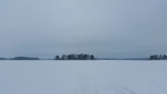 Зимняя туса 2018