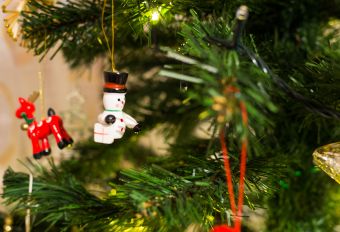 С наступающим новым годом!