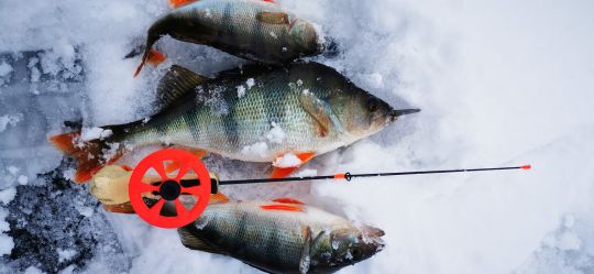 Первая рыбалка 2021