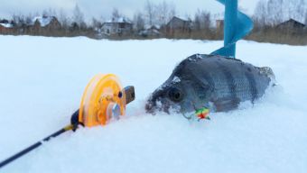 Окунек на балансир