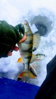 Рыбалка 2018-01-03