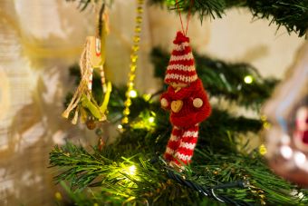 С наступающим новым годом!