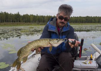 Щучка на пятьсот