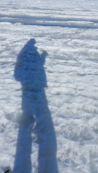 Стоя тоже клюет