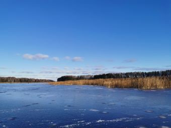 Рыбалка 01-12-2019