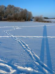 Длинная утренняя тень