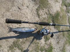 TR 84 SuperChinu 020