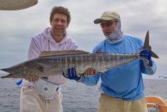 Макс & Макс 1