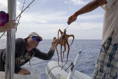 Раскарячинг