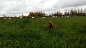 IMG 20171015 130859 5