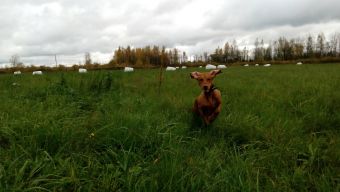 IMG 20171015 130859 6