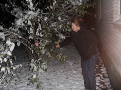 первый снег