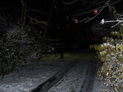 Зима началась!