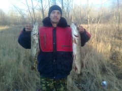 Мелкокроки