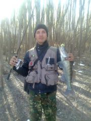 Судачек под 2ку