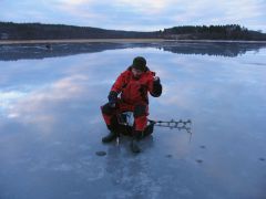 Покер с рыбой