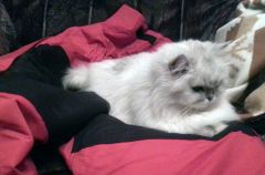 Котэ тестриует костюм Envision Ice Guard