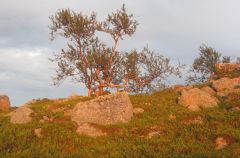 IMG 0227   копия