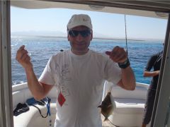 редкий спинорог