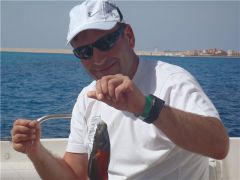 кораловые рыбки