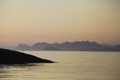 IMG 0186 ЖелУтро