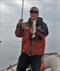 Poker и его рыба!