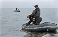 Принимают судака!