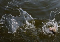 Порвал всю воду!