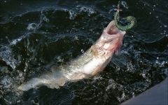 Остановил пропеллер!