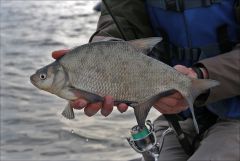 И так бывает!