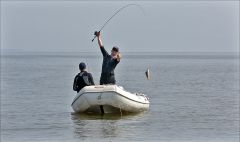 Окунёк от Shika!