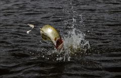 Неман, наглядный сход, без комментариев!