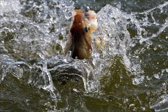 Закипело всё вокруг!