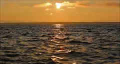 Балтийское море, ловим судака!