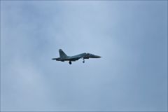 Наблюдаю с крыльца!