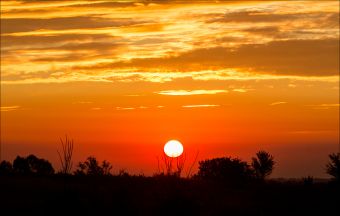 По дороге к реке!