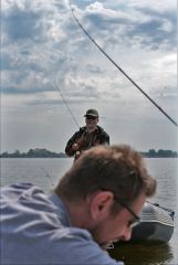 Poker подсматривает приманки!