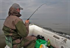 Вид из за спины!