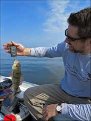 Идем на рекорд!