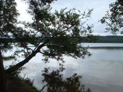 Нахимовское