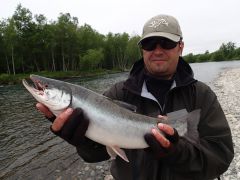 Морской голец