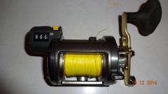 DSC00403