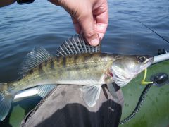 Изображение 003