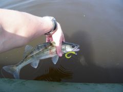 Изображение 002