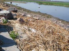 Изображение 001