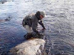 Пошла родимая!!