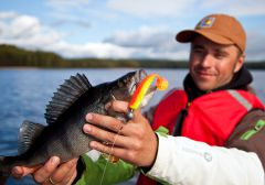 Железкин с окунем и шейкер 4.5